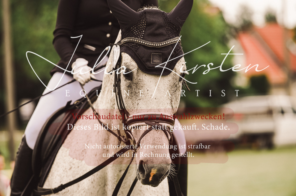 DSC_5007 | Pferde- und Turnierfotografie in Westsachsen. Pferdeportraits, Auftragszeichnungen und intuitive Kunst.