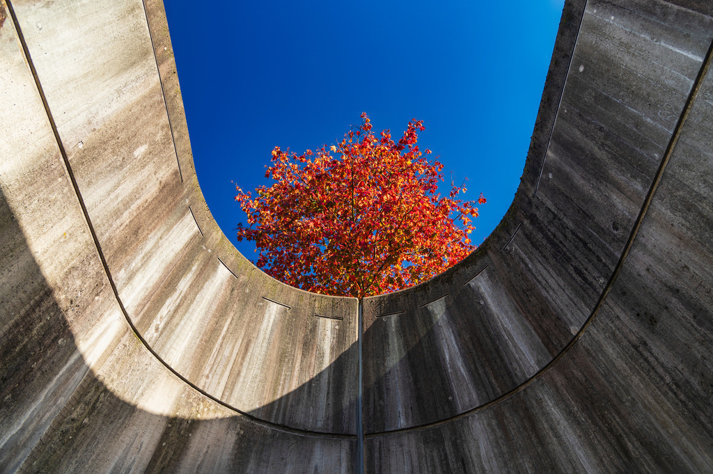 2024_10_22_HH-ALTONA-HERBST_MCP3438 | Hochwertig gedruckte Fotografien für die Wand, als Kalender und zum Verschenken. Hamburg & Norddeutschland und überall wo ich mit der Kamera unterwegs war.
