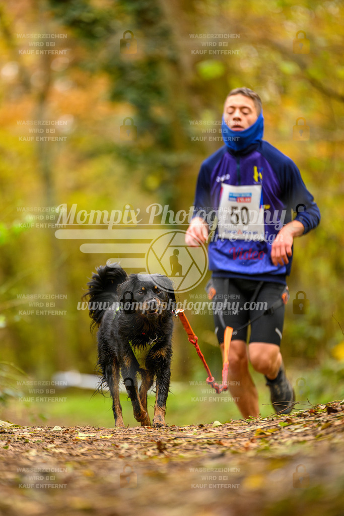 MompixPhotography_Bischwiller24_SA_Canicross-57 | PayLife