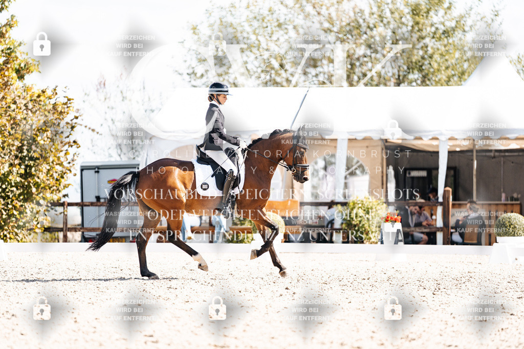 CK902709 | Turnierfotografie Pferdefotografie Trier Rheinland-Pfalz Pferdesport Reitsport Tierfotografie Sportfotografie Pferdevideo Pferdevideografie Equestrianvideography equestrianphotography  - Realisiert mit Pictrs.com