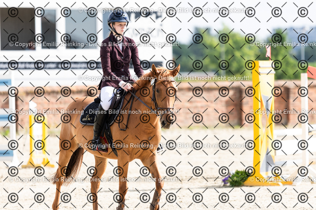 CL5A6331 | Emilia Reinking Fotografie - Realisiert mit Pictrs.com