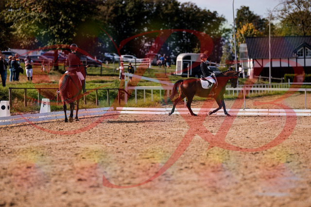 2026_10_03_Siefer-Hof_130803_Z81_59528093 | Professionelle Reitsport-, Turnier- und Eventfotografie von Robert Broda. Galerien mit ausgewählten und bearbeiteten Bildern direkt online ansehen und bestellen.