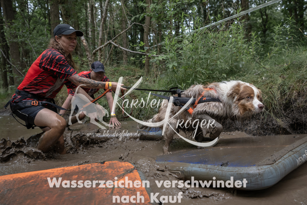 1327_ZZ94113 | kk-dogfotos