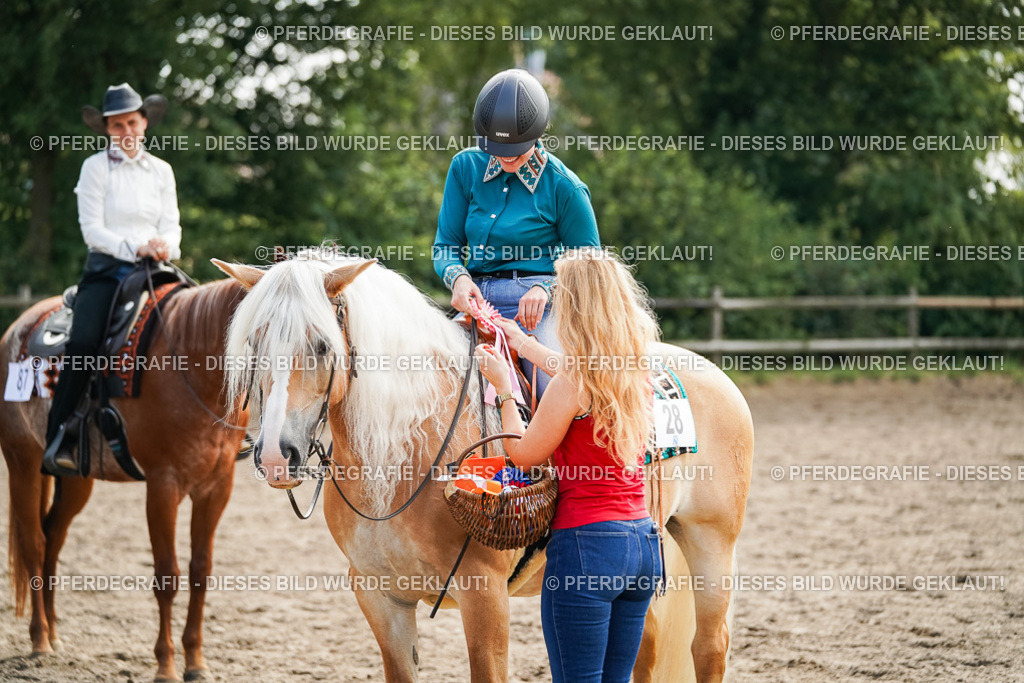 DSC04626 | Pferdegrafie