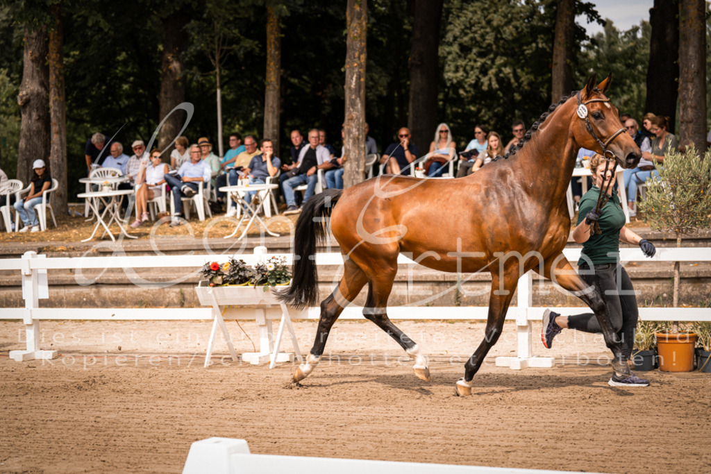 4.Fr00095 | Leoni Ertmer Photography - Realisiert mit Pictrs.com