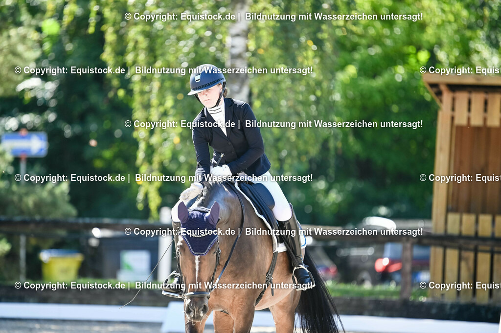 20230908_06_Dressur-L-Trense_0485 | equistock