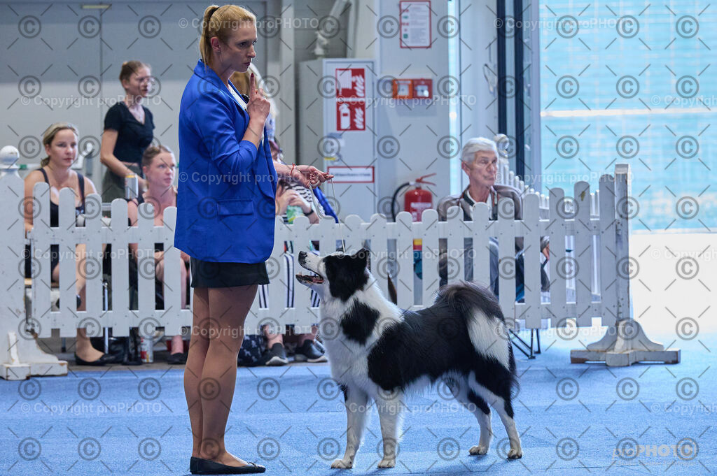 202406_ÖKV-IHA-Tulln24_DSC_5022 | proPHOTO - Realisiert mit Pictrs.com