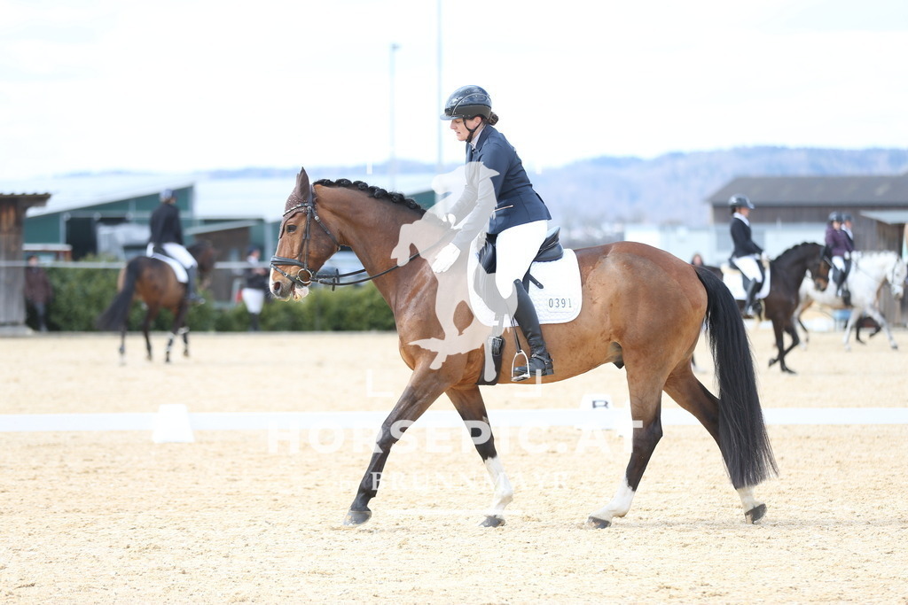 AS8V1448 | Willkommen bei Brunnmayr - Design & Fotografie – Ihrem Spezialisten für Reitturniere und Pferdeveranstaltungen in Oberösterreich, Salzburg und Bayern! Seit über 17 Jahren sind wir leidenschaftlich dabei.