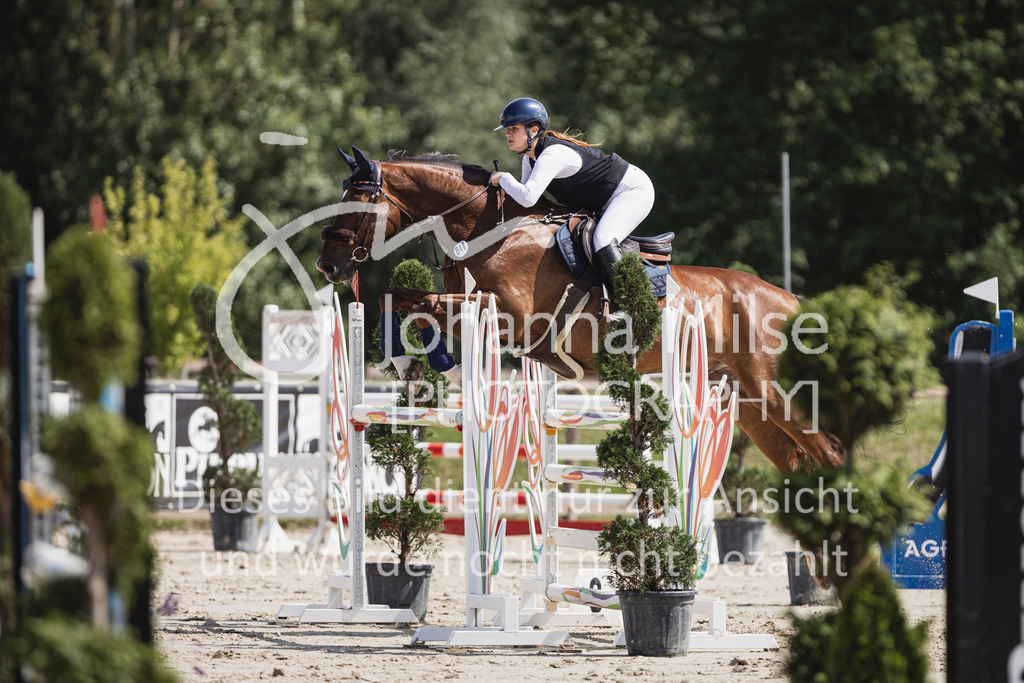 250629_PfSpTa_2Ph-M1-792 | Deine schönsten Turniermomente als professionelle Fotos! Entdecke hochwertige Pferdesport-Fotografie im Online-Shop. Jetzt Fotos finden & bestellen!