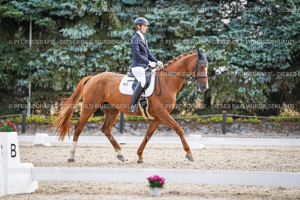 DSC00622 | Pferdegrafie