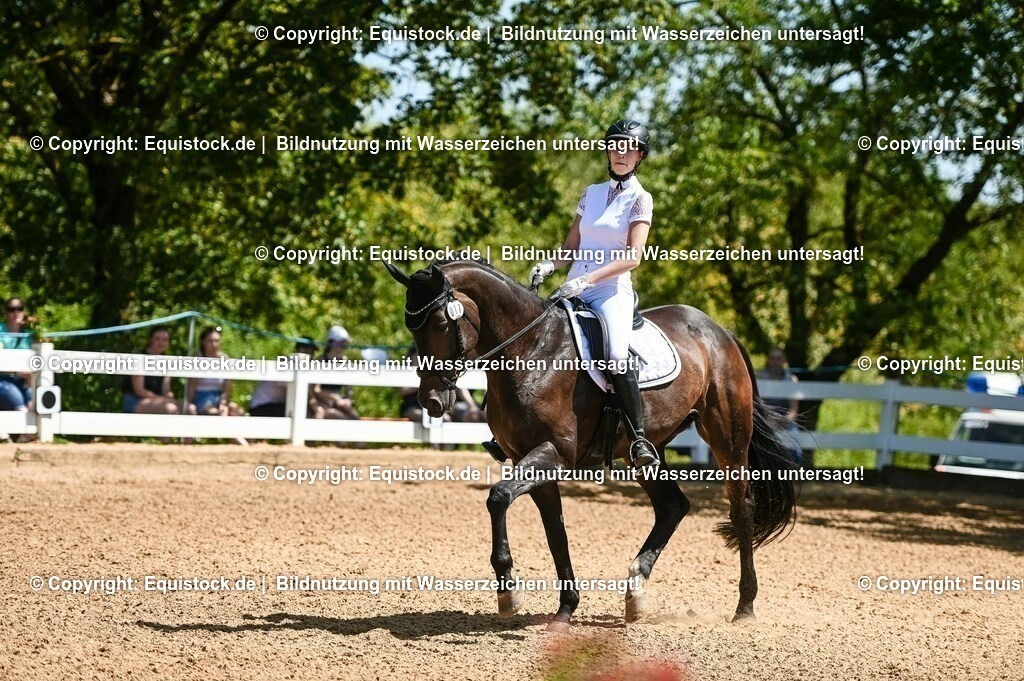 20230715_02_Dressurreiterprüfung Kl.L_0069 | equistock