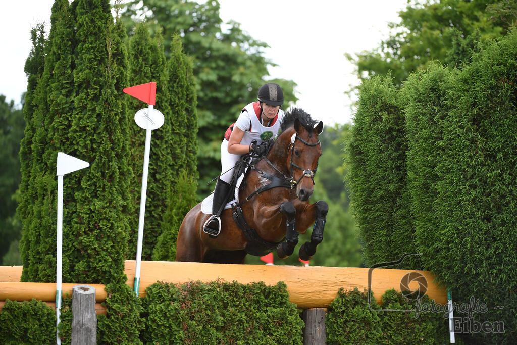Ammerländer Reitclub, Horse Trials | Gelände, Klasse CCI3*-S; Ammerländer Reitclub, Horse Trials am 06.06.2025 in Fikensolt (Reitanlage ), Deutschland, Photo: Philip Eiben 2024 - Realisiert mit Pictrs.com
