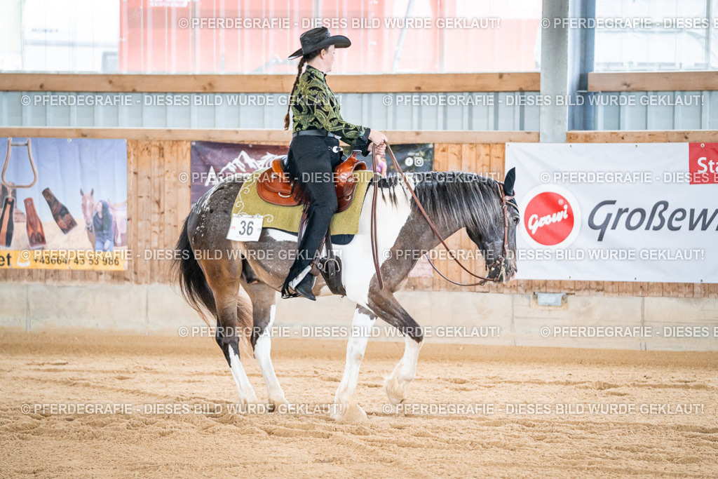 DSC01294 | Pferdegrafie