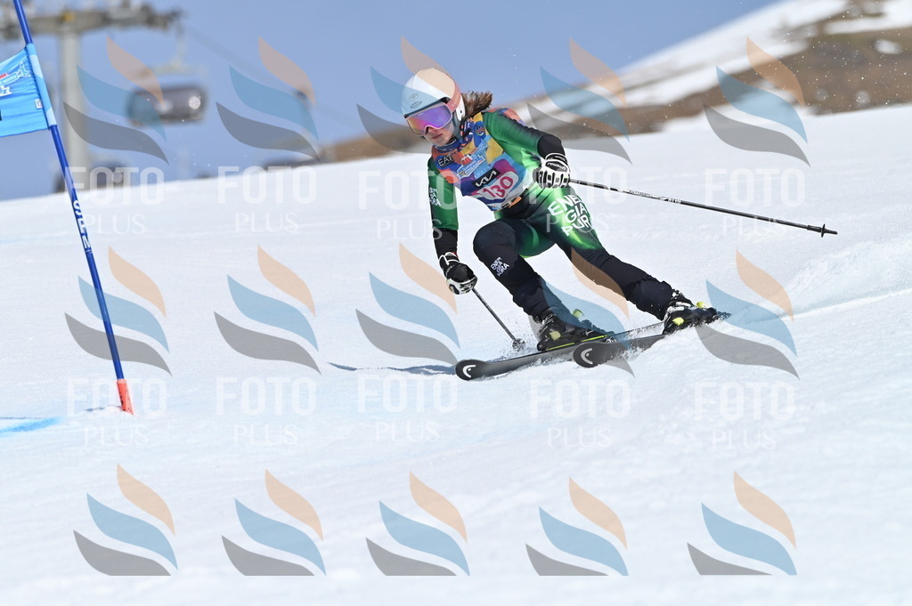 BGV_9985 | holidayphoto