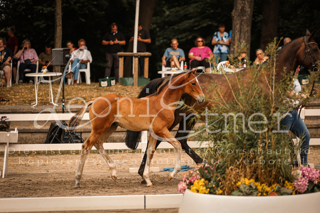 SaPA00229 | Leoni Ertmer Photography - Realisiert mit Pictrs.com