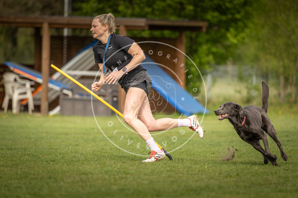 Pfotenfotografie_DV3A5371 | Hundefotografie, Tierfotograf, Pfotenfotografie, Fotoshooting Hund, Hunde Portrait, Hundesport, Hundeportraits, Heideshooting, Hunde, Sportfotograf, Hundefotograf, Turnierhundsport, THS,  - Realisiert mit Pictrs.com