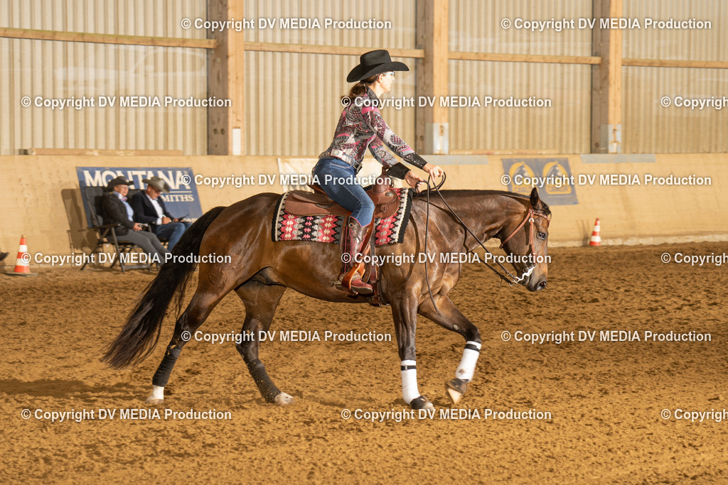 LAU00260 | dv-media-shop - Realisiert mit Pictrs.com