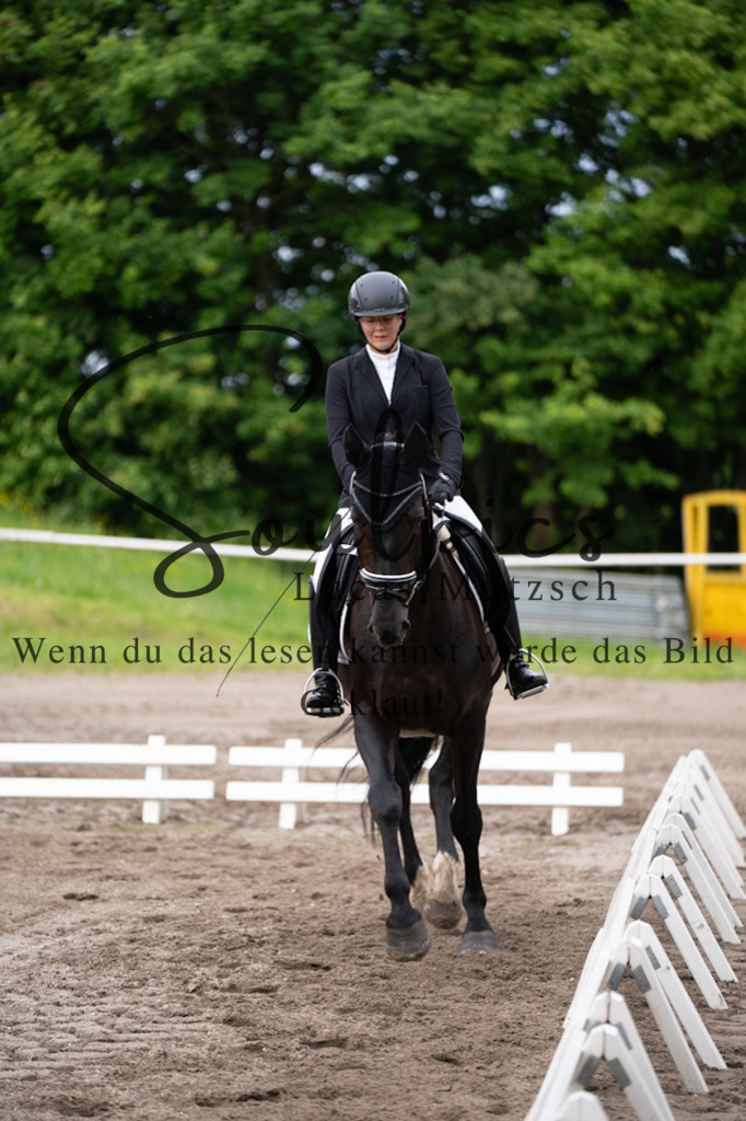 A7V03789 | Pferdefotograf