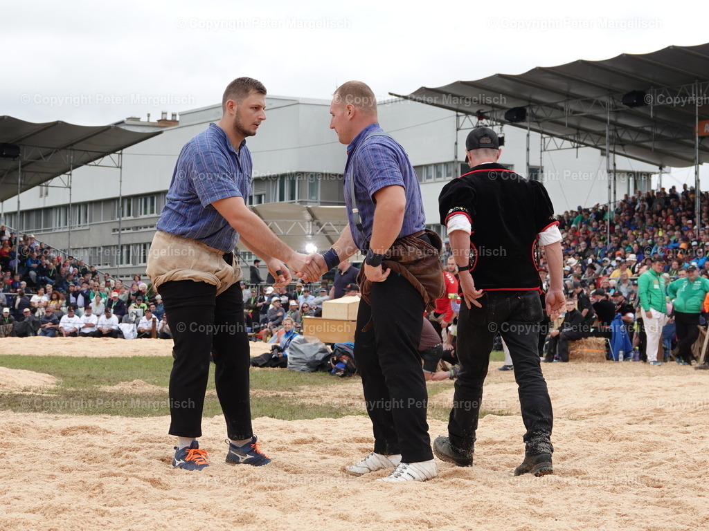 DSC08064 | Schwingen - Realisiert mit Pictrs.com