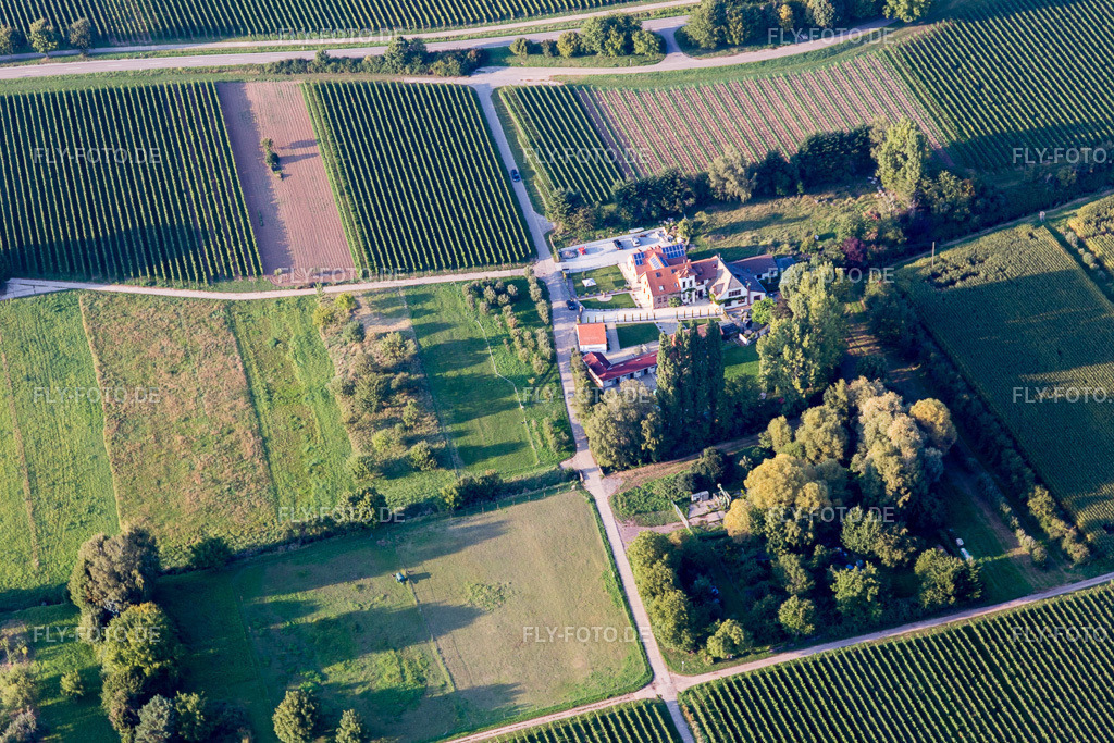 Ortsansicht | Luftbild: Ortsansicht in Walsheim im Bundesland Rheinland-Pfalz in Deutschland. Foto: IMG_103201.jpg vom 03.09.2017 durch Werner Riehm/FLY-FOTO.de - Realisiert mit Pictrs.com