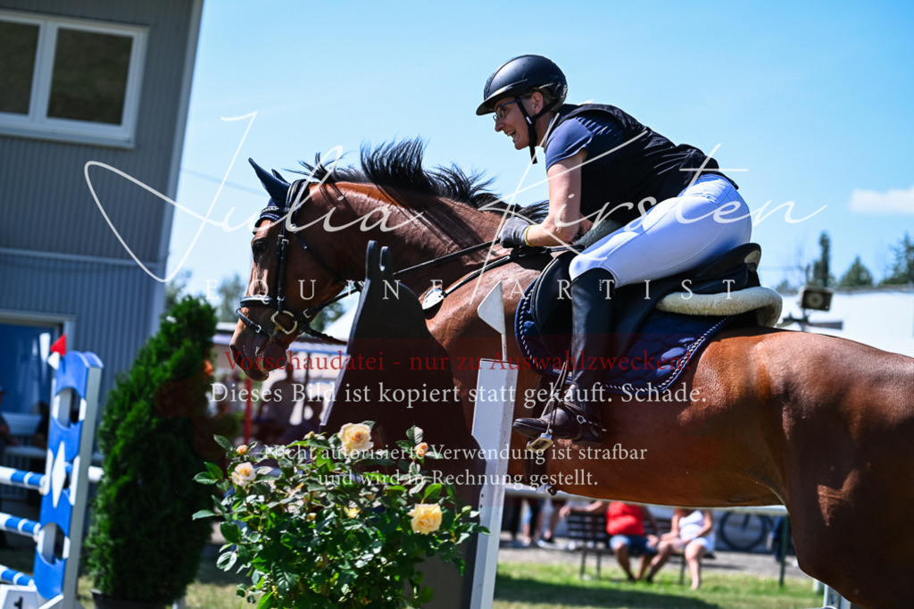 DSC_1441 | Pferde- und Turnierfotografie in Westsachsen. Pferdeportraits, Auftragszeichnungen und intuitive Kunst.