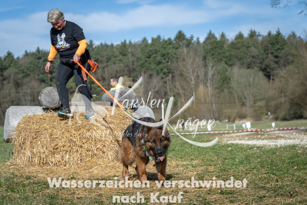 0940_ZZ95054 | kk-dogfotos