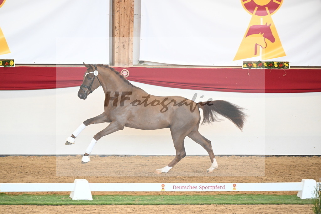 Kat.-Nr. 83 v. Va Bene_Winklmaier_2250898 | hf-fotografie - Realisiert mit Pictrs.com