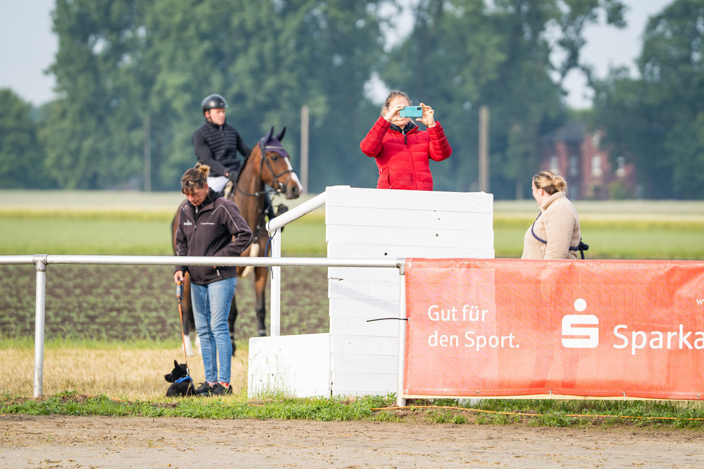 DSC07778 | Pferdegrafie