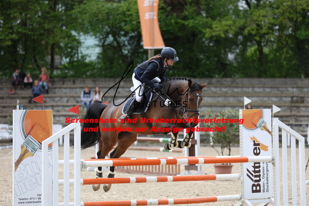 A40A2446 | lmwpictures - Realisiert mit Pictrs.com