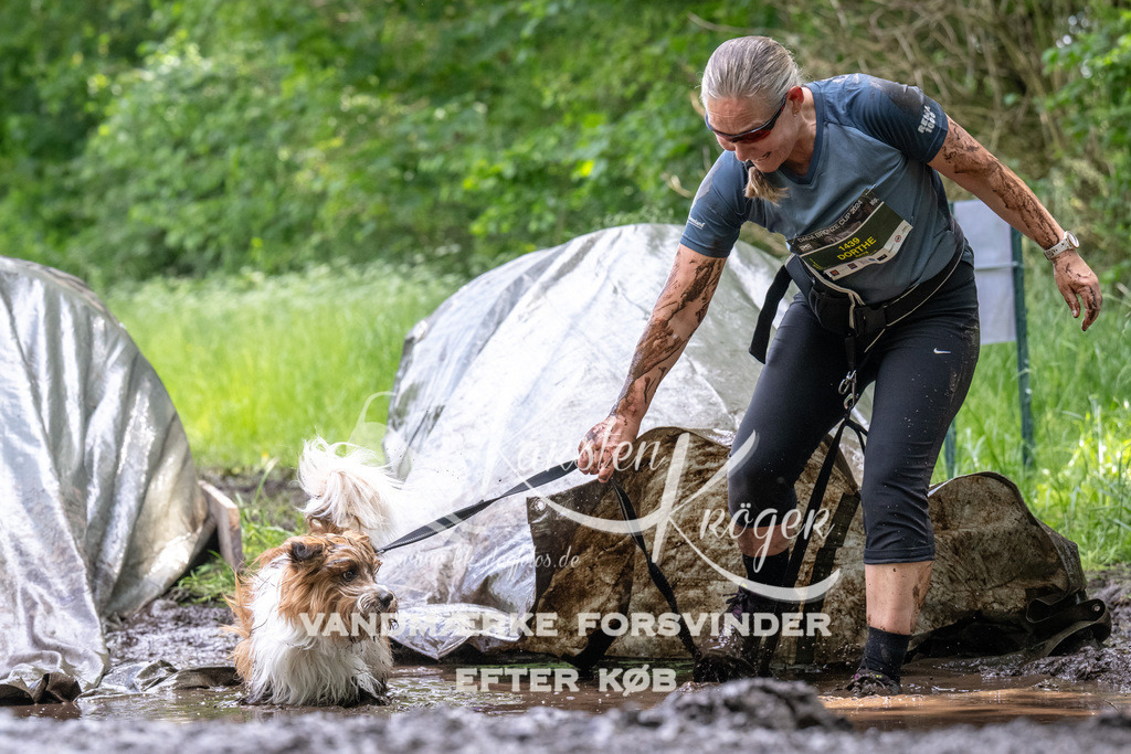 1254_ZZ94138 | kk-dogfotos