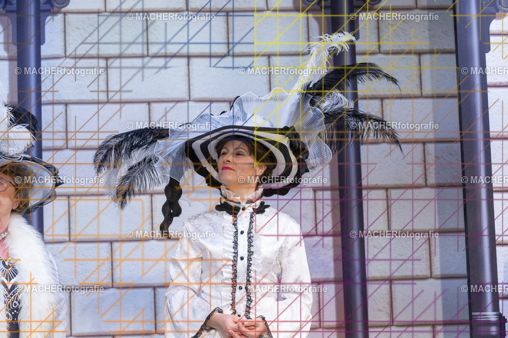 268_MFL-2025 | Portraitbilder von Regisseur; Darsteller; Techniker; Maske; Kostüme; Chor; Musiker; Bilderserie der Generalprobe und der Premierenvorstellung, Szenenbilder; Ausdrucksstudien; Bühnenüberblick; Bühnenkulissen; Pressefotos inkl. Redaktionsfoto Darstellergruppe.