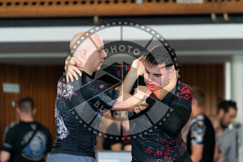 20250628PBB7214 | Athletes compete during the ILLCS X, International Luta Livre Championship Summer Edition on June 28, 2025 in Hannover, Germany. © Chiara Dazi / photoblackbelt