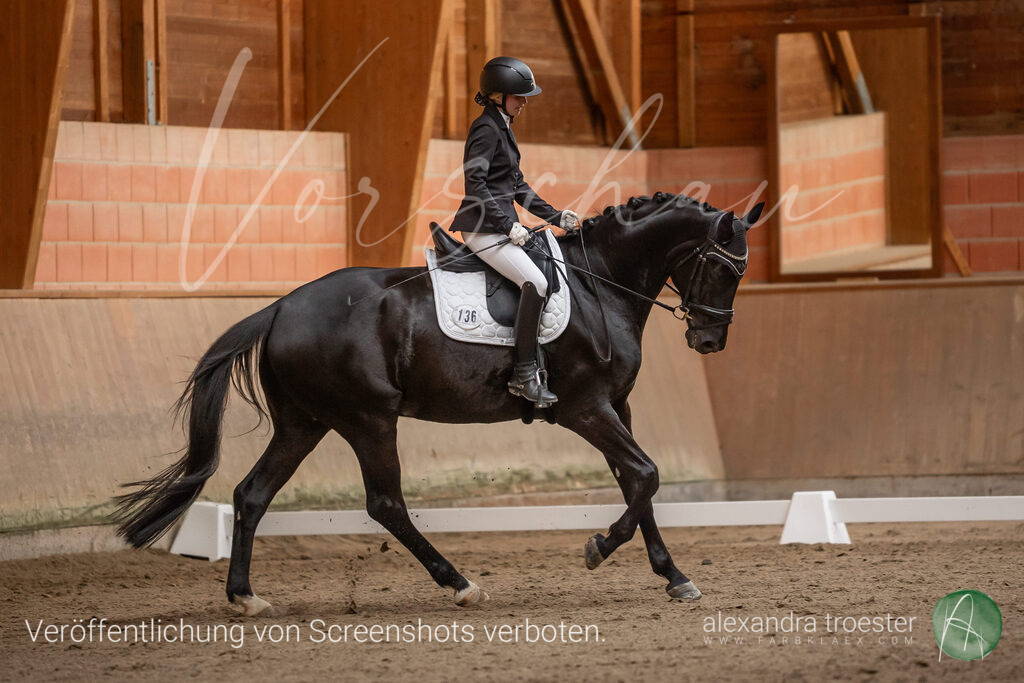 250405_Barop_00_127 | farbklaex.com