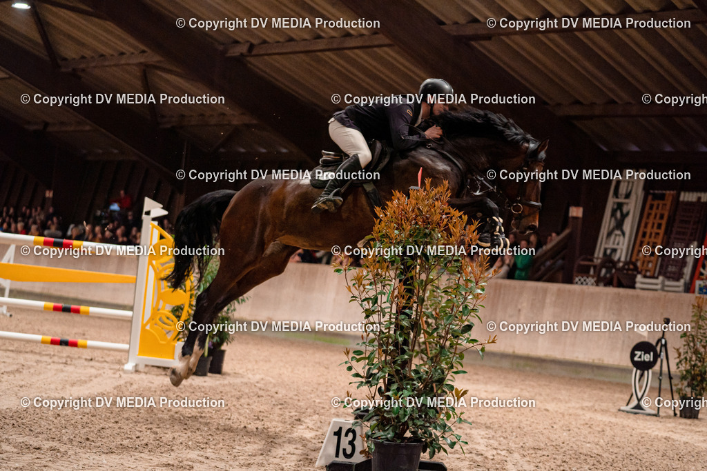 Springen Tag 3-588 | dv-media-shop - Realisiert mit Pictrs.com