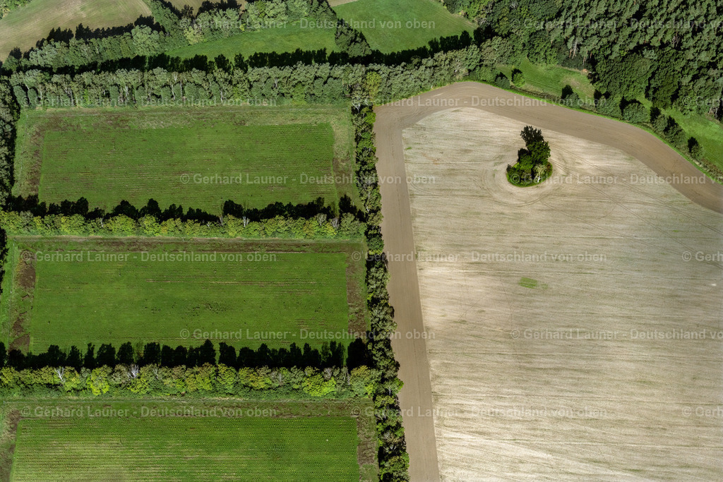4061088 | RUBENOW 08.09.2021 Baum- Insel auf einem Feld in Rubenow im Bundesland Mecklenburg-Vorpommern, Deutschland. // Island of trees in a field in Rubenow in the state Mecklenburg - Western Pomerania, Germany. Foto: Gerhard Launer