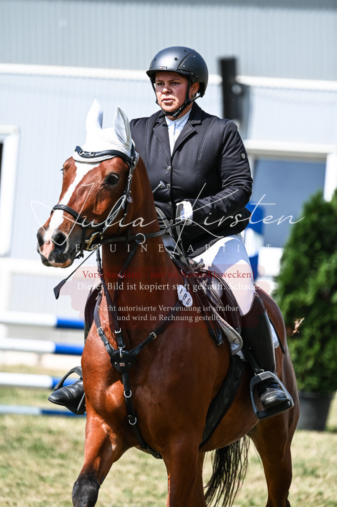 DSC_8701 | Pferde- und Turnierfotografie in Westsachsen. Pferdeportraits, Auftragszeichnungen und intuitive Kunst.
