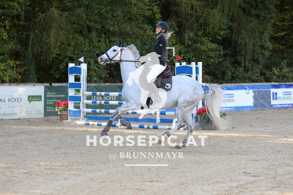 DL2Q5370 | Willkommen bei Brunnmayr - Design & Fotografie – Ihrem Spezialisten für Reitturniere und Pferdeveranstaltungen in Oberösterreich, Salzburg und Bayern! Seit über 17 Jahren sind wir leidenschaftlich dabei.