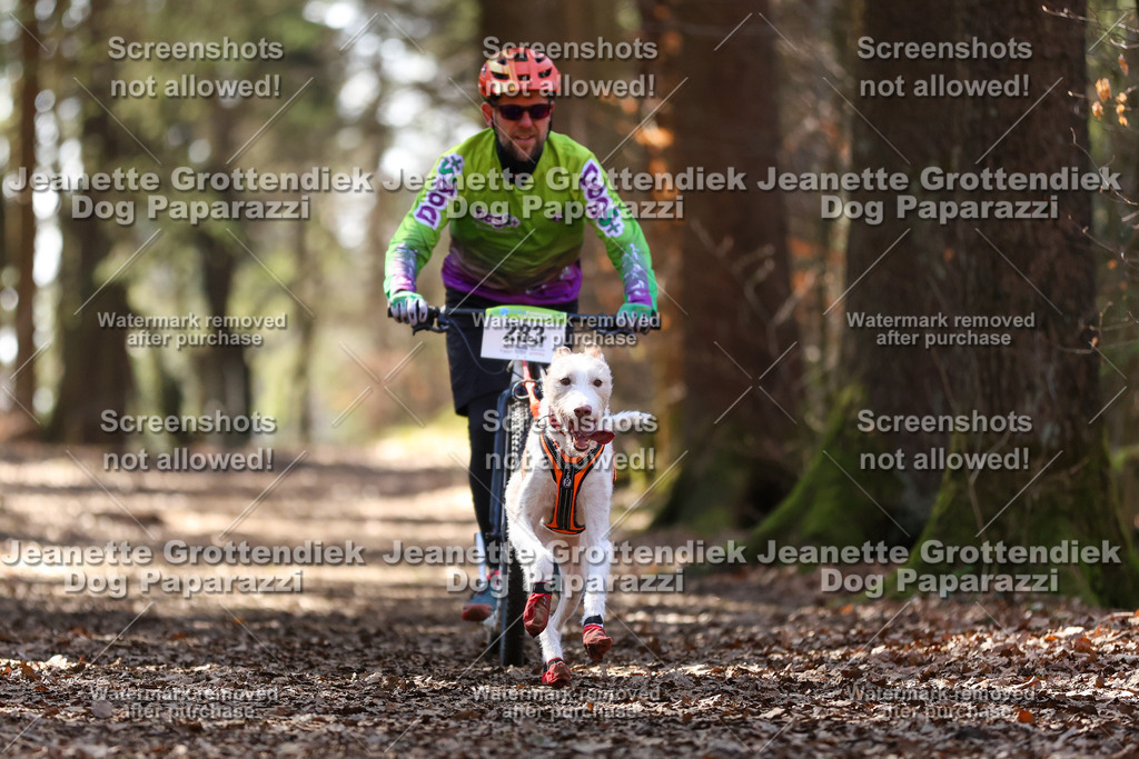 Dog Paparazzi - VCC26-1348 | Dog Paparazzi Jeanette Grottendiek Fotografie & Videografie - Realisiert mit Pictrs.com