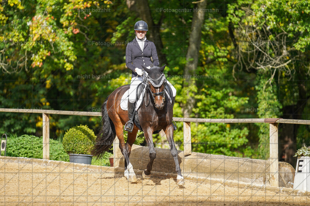 20221007-FAH09947 | Diessen am Ammersee, 2022, Dressur- und Springturnier, Reitsportbilder, Turnierfotografen Bayern, Pferdefotografen, Fotoagentur Herrmann, Turnierbilder