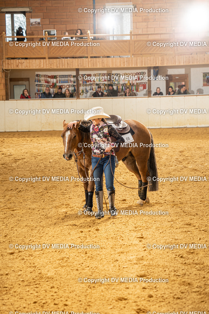 MIT01366 | dv-media-shop - Realisiert mit Pictrs.com