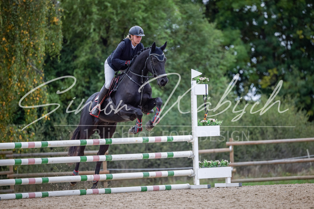 20251012-_3LI4031 | Tierfotografie Pferde, Hunde, Katzen, Haustiere.
Turnierfotografie Reitturniere, Reiten, Springreiten, Dressur in Hanau, dem Main-Kinzig-Kreis und dem Rhein-Main- Gebiet um Frankfurt