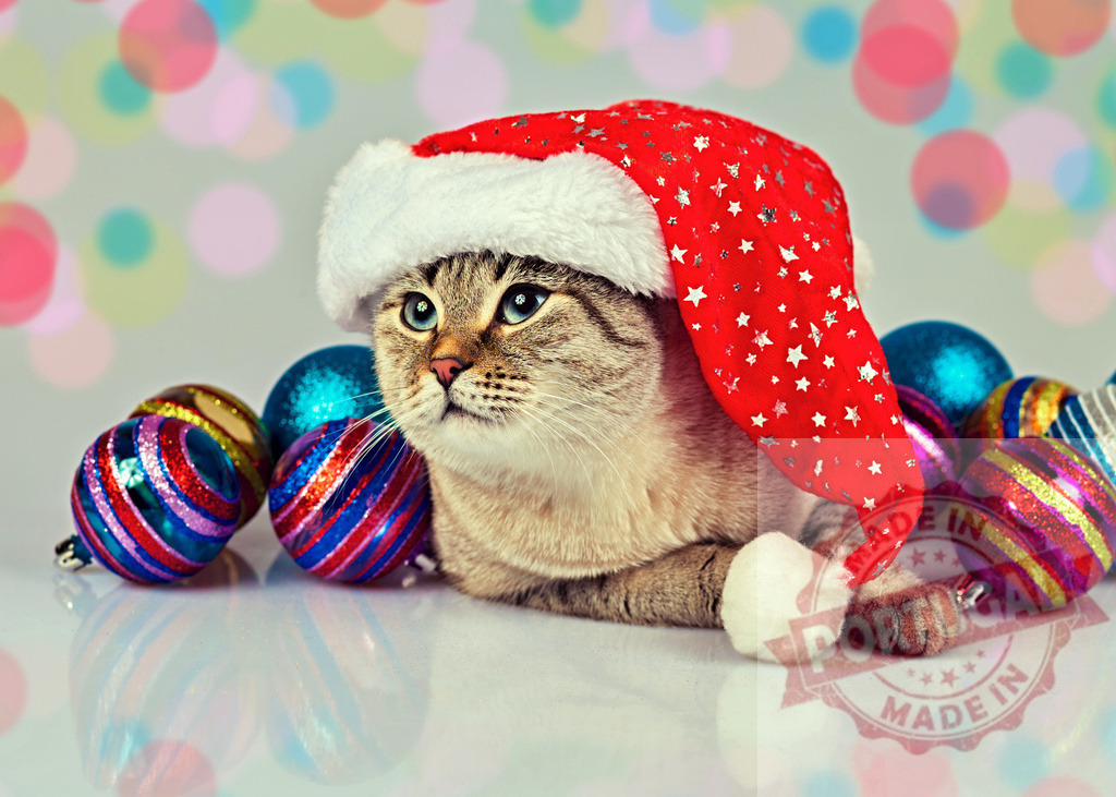 Cute cat wearing Santa hat lying near Christmas balls | Adorable cat wearing a Santa Claus hat is lying on a white surface next to colorful Christmas balls - Realisiert mit Pictrs.com