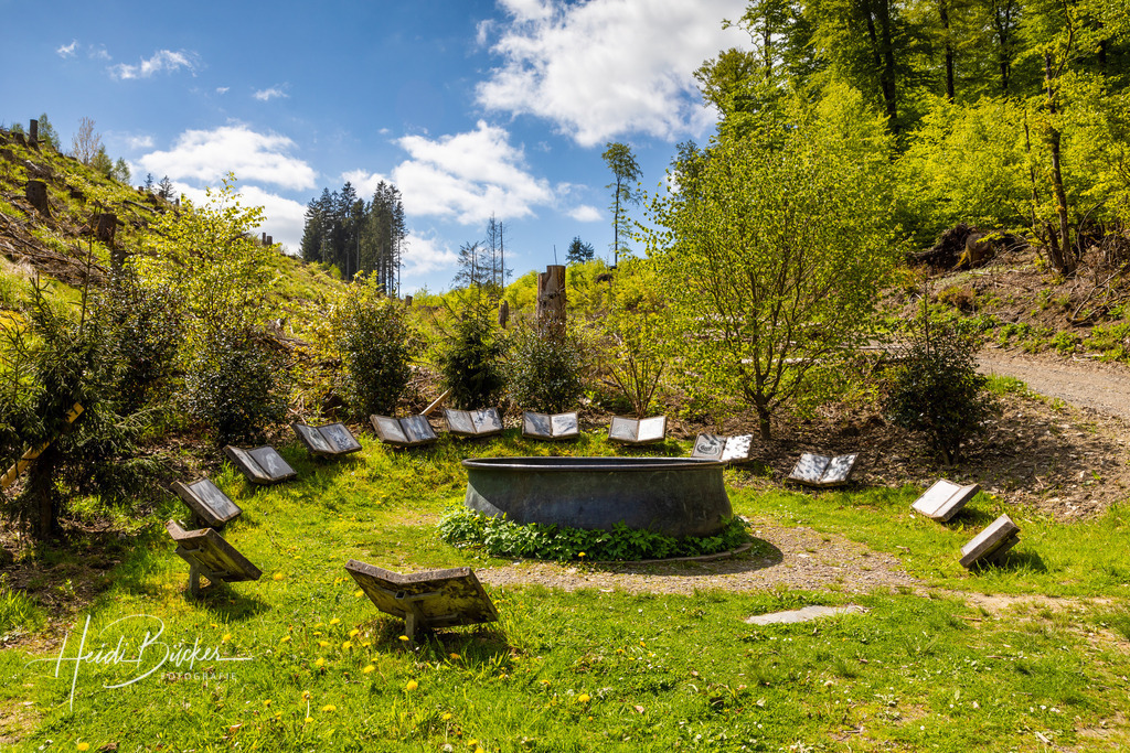 Hexenplatz bei Oberkirchen  | Hexenplatz am Waldskulpturenweg bei Oberkirchen im Schmallenberger Sauerland - Realisiert mit Pictrs.com