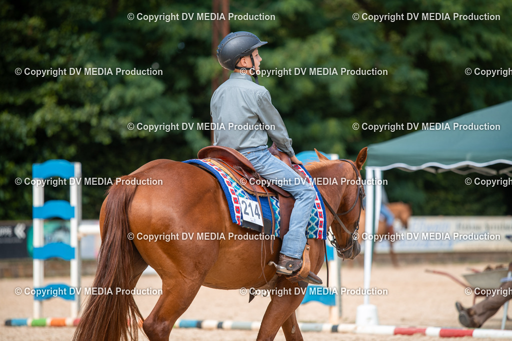 EWP_6773 | dv-media-shop - Realisiert mit Pictrs.com