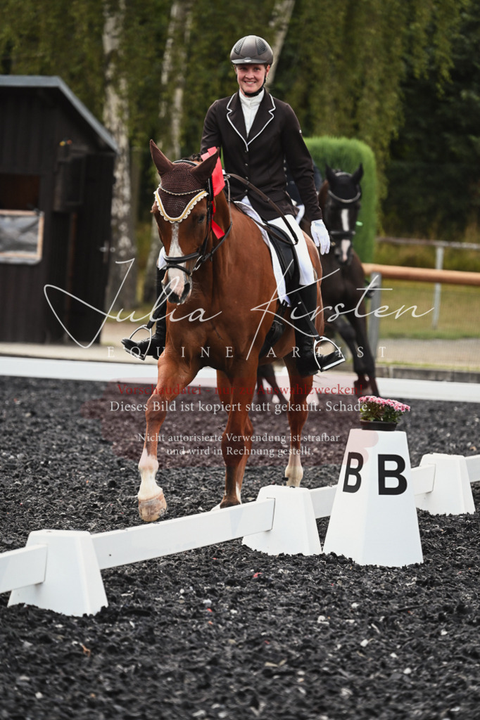 DSC_2820 | Pferde- und Turnierfotografie in Westsachsen. Pferdeportraits, Auftragszeichnungen und intuitive Kunst.