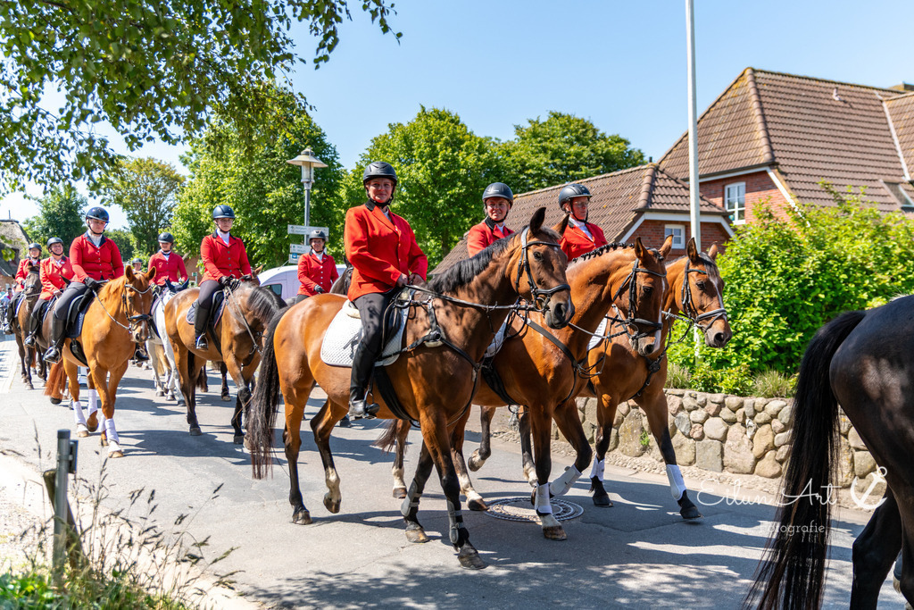 20250621-EAF_5099 | Eilun-Art-Fotografie Levke Martens, ihre Fotografin für Immobilien- und Landschaftsfotografie auf Föhr, Föhrer Motive als Poster, Leinwand, hinter Acrylglas oder stelle dir deinen eigenen Monatskalender zusammen, mit nur einem Klick