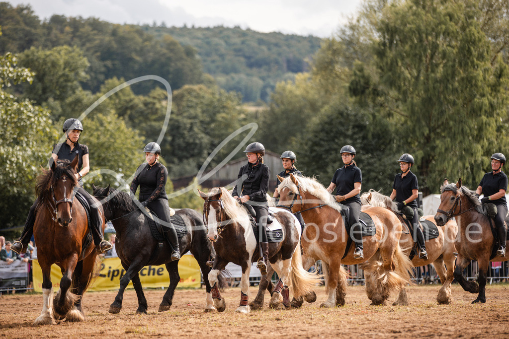 846A4026 | fotosleben - Realisiert mit Pictrs.com