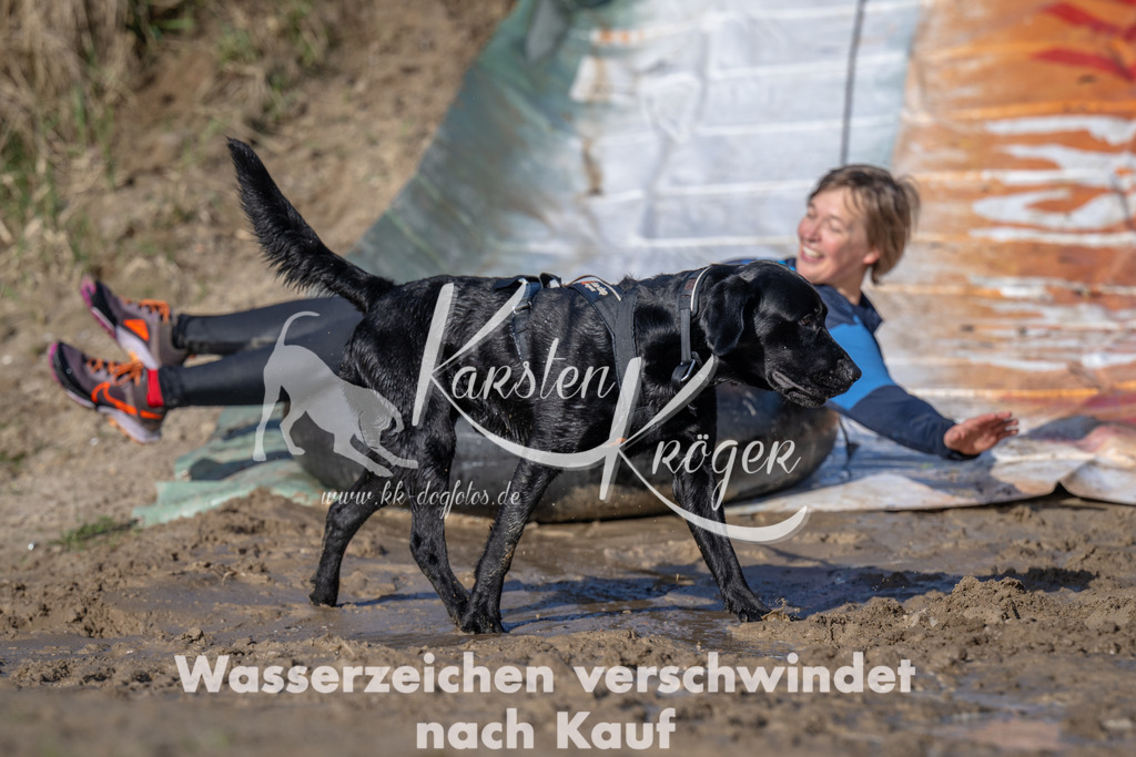 0909_ZZ91038 | kk-dogfotos