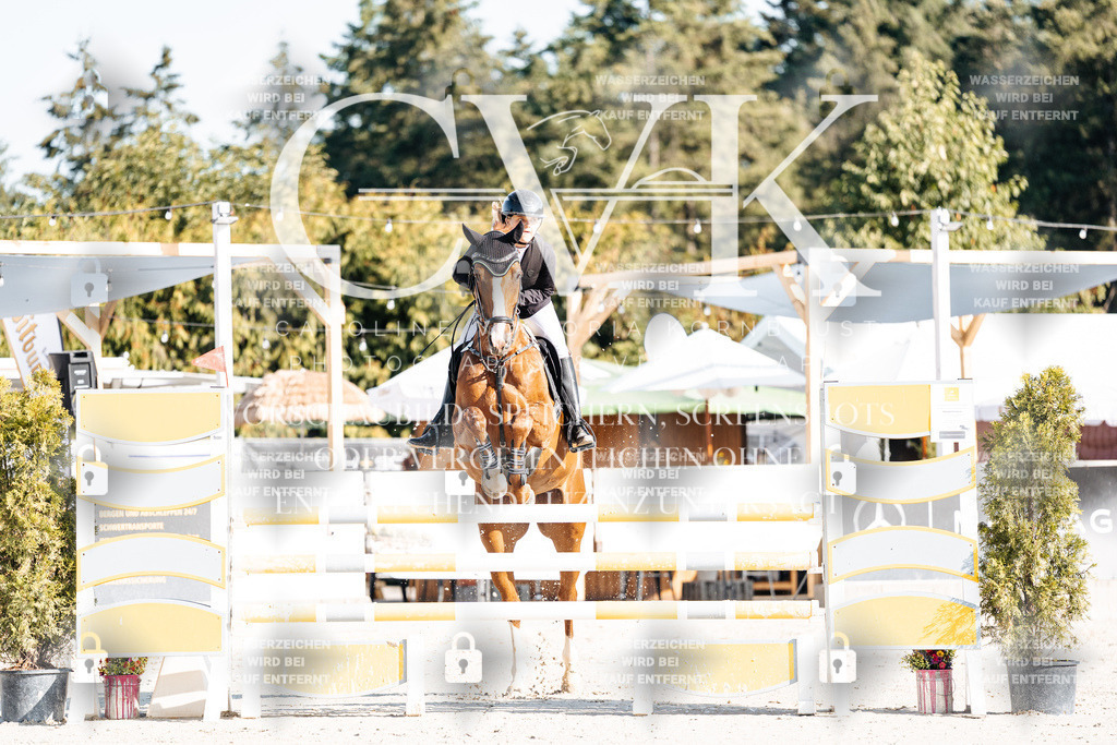 CK901545 | Turnierfotografie Pferdefotografie Trier Rheinland-Pfalz Pferdesport Reitsport Tierfotografie Sportfotografie Pferdevideo Pferdevideografie Equestrianvideography equestrianphotography  - Realisiert mit Pictrs.com
