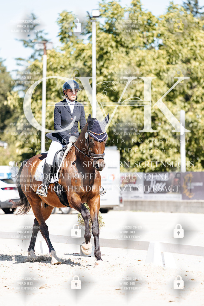 CK909342 | Turnierfotografie Pferdefotografie Trier Rheinland-Pfalz Pferdesport Reitsport Tierfotografie Sportfotografie Pferdevideo Pferdevideografie Equestrianvideography equestrianphotography  - Realisiert mit Pictrs.com
